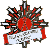 Eisenpin von Logo Pins